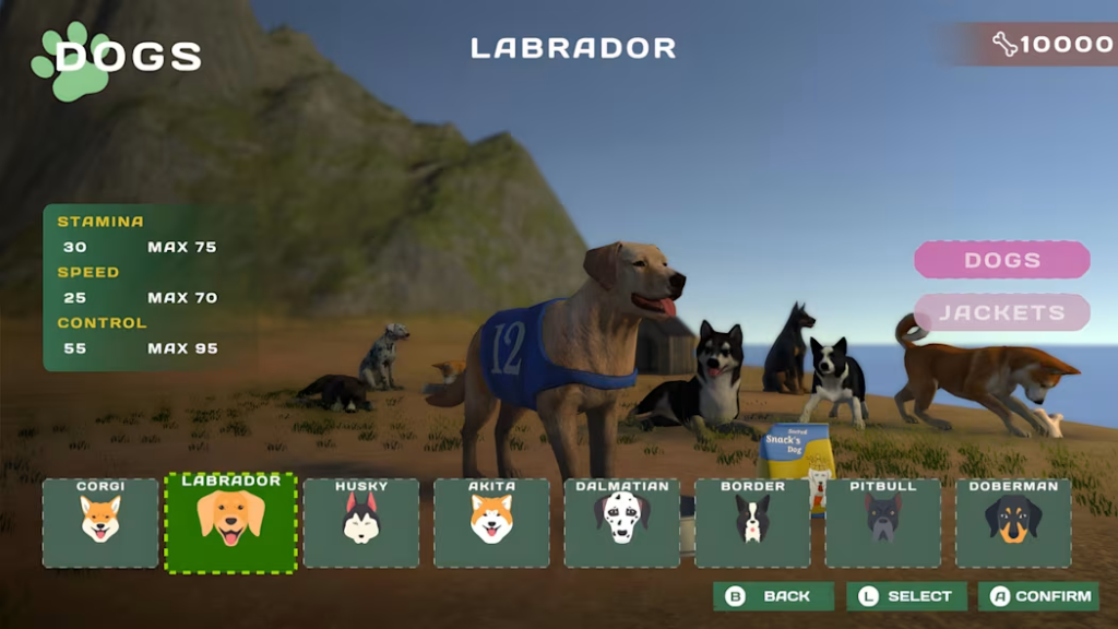 DOG RACING - LOVELY PET FRIENDS PAW