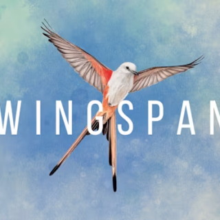 WINGSPAN