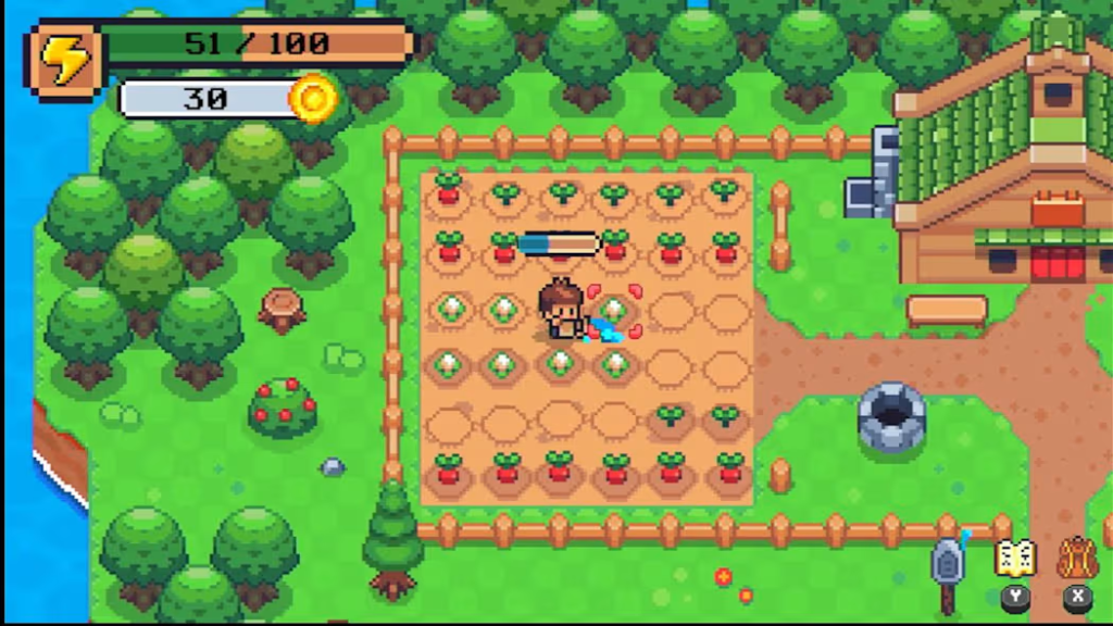 Dreamland Farm
