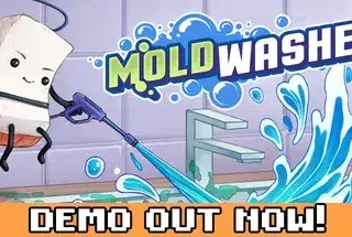 Moldwasher